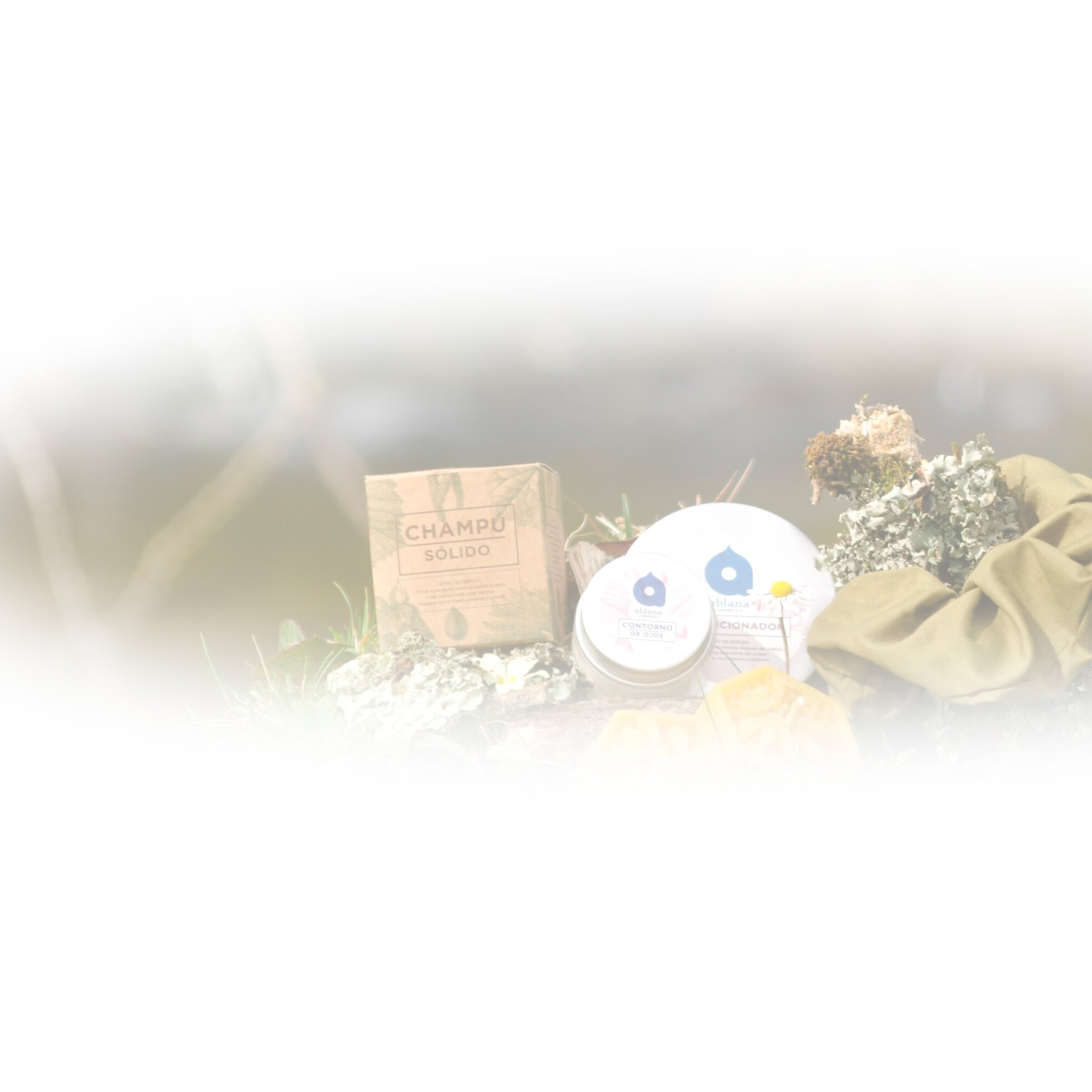 REGALA labienllegada