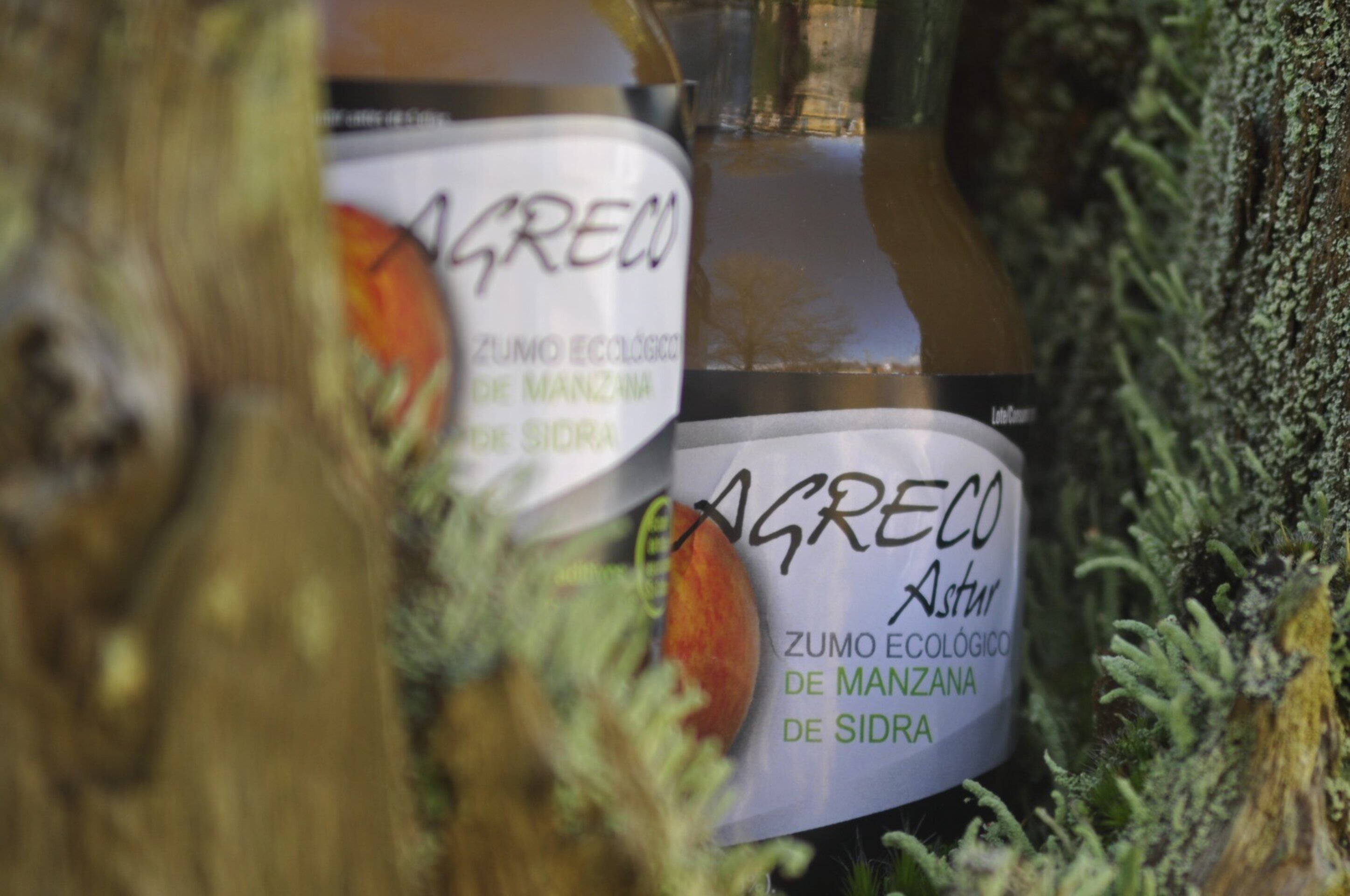 labienllegada cesta - personalizada a tu gusto - 2